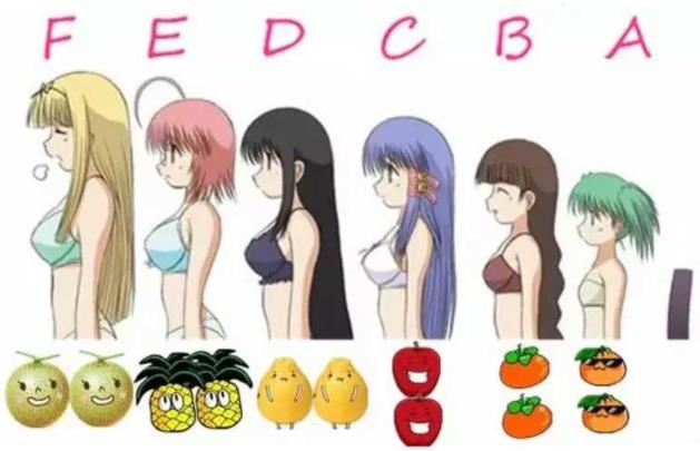 內衣80b和80c有什么區別？內衣80b和80c的區別[圖]